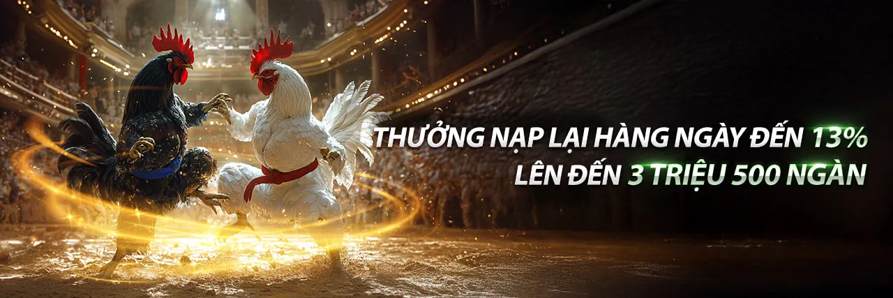 Các chiến lược cá cược mới nhất