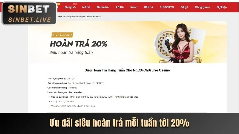 Lợi ích thành viên VIP